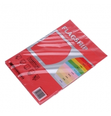 旗艦 A4 80g 進(jìn)口彩色復(fù)印紙（大紅色，100張/包，25包/箱）