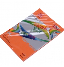 旗艦 A4 80g 進(jìn)口彩色復(fù)印紙（藏紅色，100張/包，25包/箱）